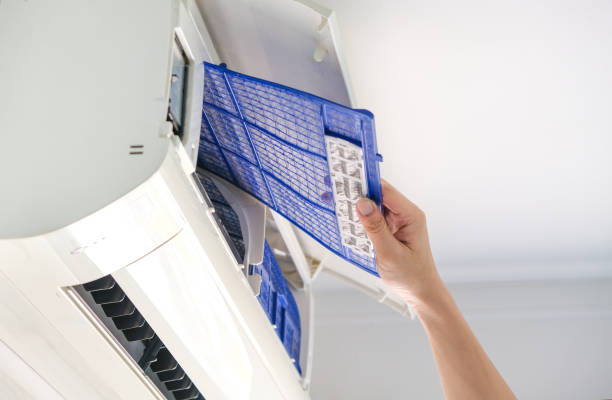 Best Air Duct Mold Removal  in Altamonte Springs, FL