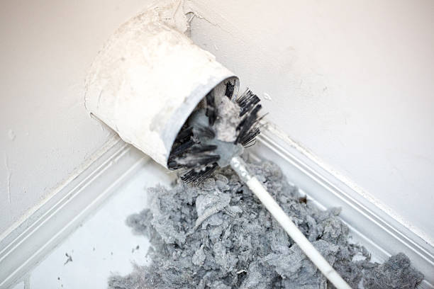 Best Home Air Vent Cleaning  in Altamonte Springs, FL